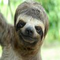 TurboSloth Avatar
